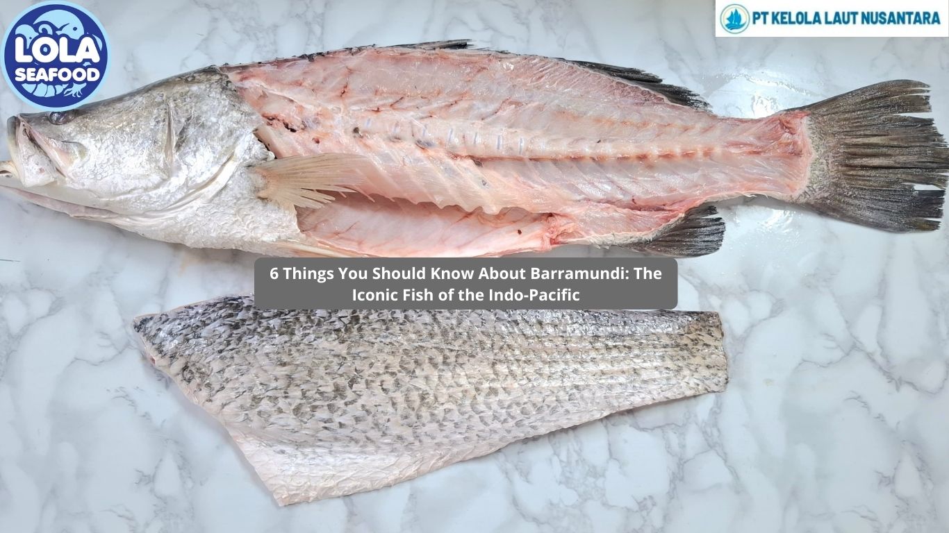 6 Things You Should Know About Barramundi: The Iconic Fish of the Indo-Pacific